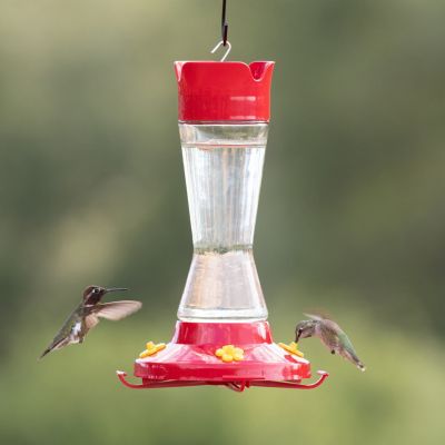 Image showing  16 oz. Pinch-Waist Glass Hummingbird Feeder