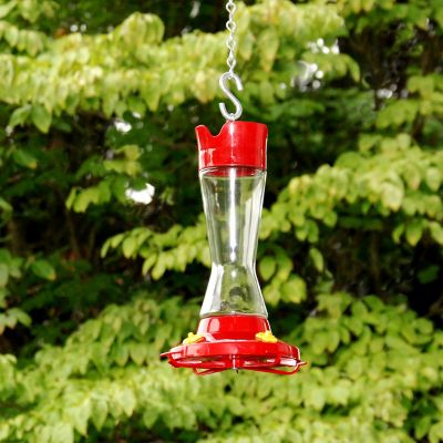 Image showing  16 oz. Pinch-Waist Glass Hummingbird Feeder