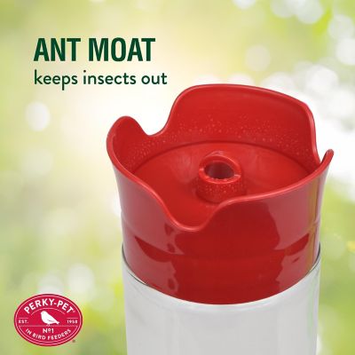 Image showing 5 th Perky-Pet 16 oz. Pinch-Waist Glass Hummingbird Feeder