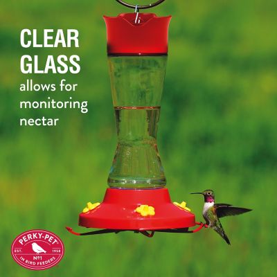 Image showing 9 th Perky-Pet 16 oz. Pinch-Waist Glass Hummingbird Feeder