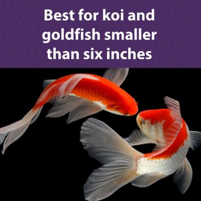 Image showing  Platinum Bits Koi Fish Food, 20 lb. Bag