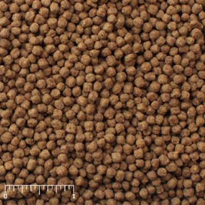 Image showing 6 th Mazuri Platinum Bits Koi Fish Food, 20 lb. Bag