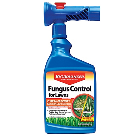 BioAdvanced 32 oz. Ready-to-Spray Fungus Control for Lawns