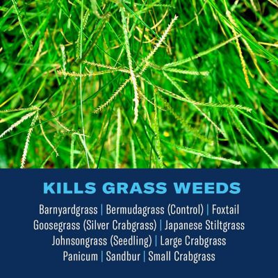 Image showing  Bermuda Control for Lawns Herbicide, 32 oz.