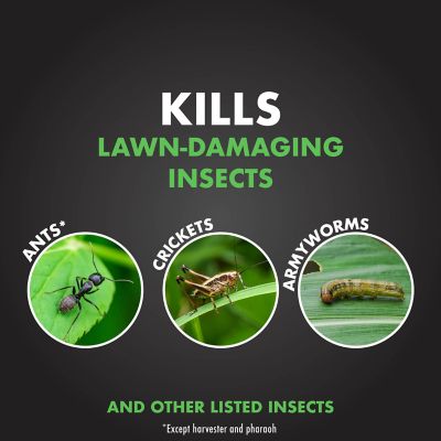 Image showing  35.2 lb. Large Plot Triazicide Insect Killer for Lawns Granules
