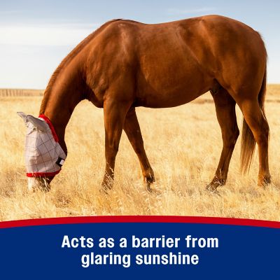 Image showing  Super Mask II Horse Fly Mask with Ears