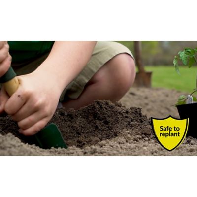 Drexel 41% Glyphosate Concentrate – 1 Quart, Liquid Herbicide For Grassy Weeds, EPA 19713-526