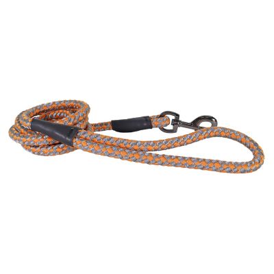 Image showing  Reflective Rope Dog Leash