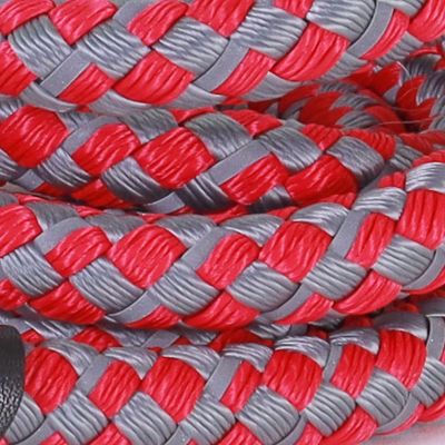 Image showing  Reflective Rope Dog Leash