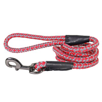 Image showing  Reflective Rope Dog Leash