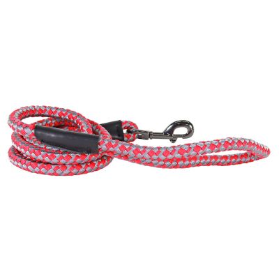 Image showing  Reflective Rope Dog Leash