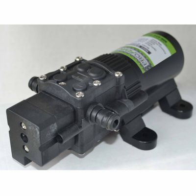 Delavan 1 GPM 40 PSI On-Demand Diaphragm Sprayer Pump