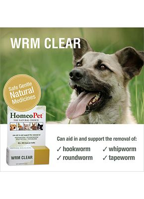 Image showing  Worm Clear Dewormer Oral Drops for Pets, 15 mL