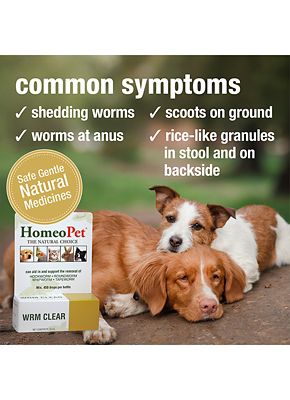 Image showing  Worm Clear Dewormer Oral Drops for Pets, 15 mL