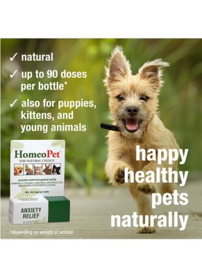 Image showing  Anxiety Relief Oral Drops for Cats and Dogs, 15 mL