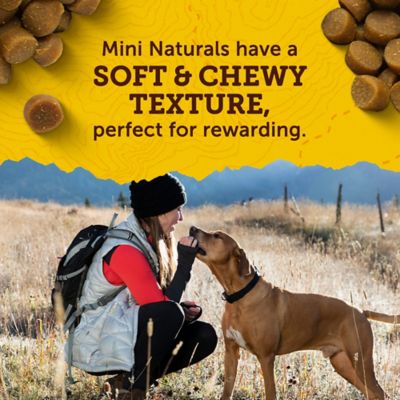 Image showing  Chicken Mini Naturals Dog Treats, 6 oz.