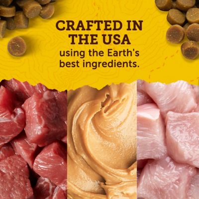 Image showing  Peanut Butter Mini Naturals Dog Treats