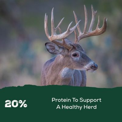 Image showing  Sportsman 20 Deer Feed, 50 lb. Bag