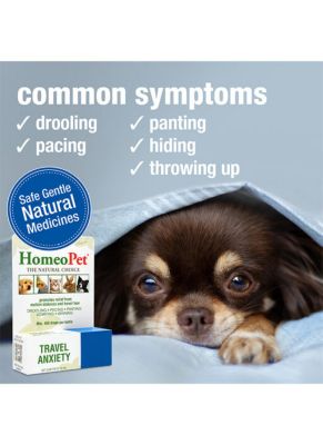 Image showing  Homeopet Travel Anxiety