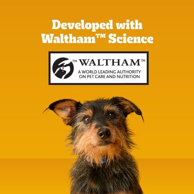 Image showing 7 th Pedigree DENTASTIX Chicken Flavor Dental Care Dog Treats for Toy/Small Dogs, 58 ct.