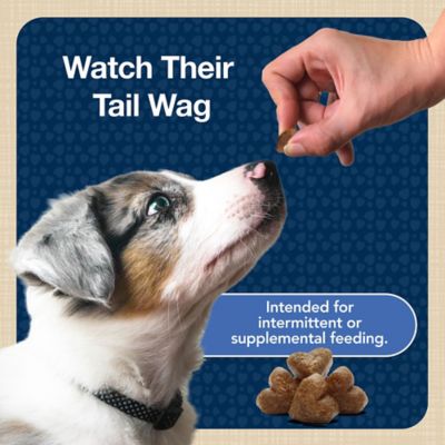 Image showing 8 th Blue Buffalo Blue Bits Chicken Flavor Natural Soft-Moist Dog Training Treats, 4 oz.
