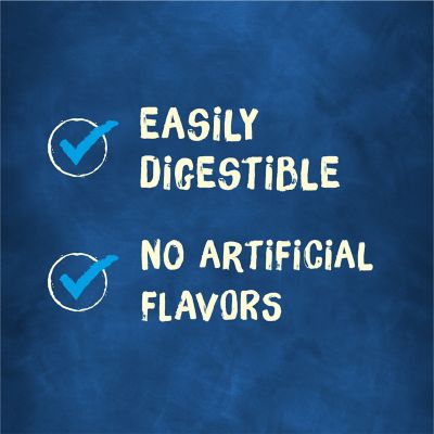 Image showing  Bone Adult Dog Chew Bone Treats, Original, 2 ct. Pouch