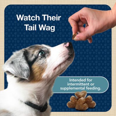 Image showing 6 th Blue Buffalo Blue Bits Turkey Flavor Tempting Soft-Moist Dog Training Treats, 4 oz.