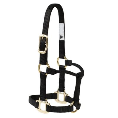 DuMOR Nylon Classic Foal Halter, Forest Green