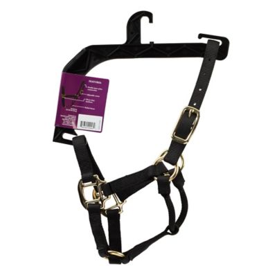 Image showing  Nylon Classic Foal Halter, Forest Green
