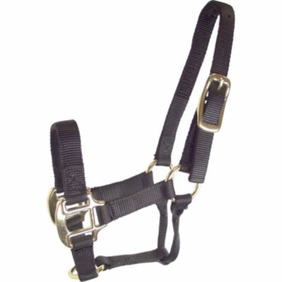 DuMOR Nylon Classic Colt Halter