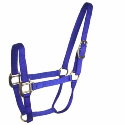 DuMOR Nylon Classic Colt Halter
