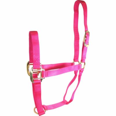 DuMOR Nylon Classic Horse Halter, Royal