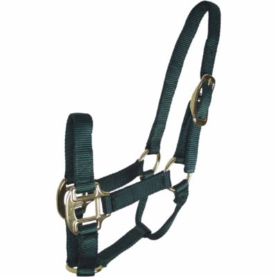 DuMOR Nylon Classic Foal Halter, Forest Green