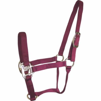 DuMOR Nylon Classic Colt Halter