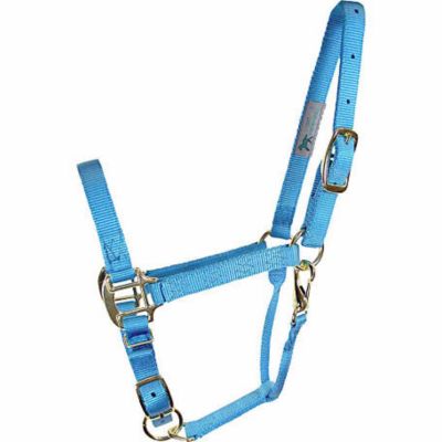 DuMOR Nylon Premium Colt Halter with Snap