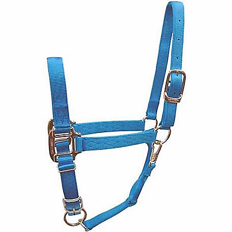 Weaver Leather Nylon Miniature Horse Adjustable Halter, Average at Tractor  Supply Co.