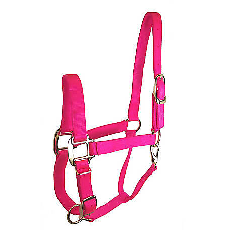 DuMor 2 Ply Pink Adjustable Nylon Halter Horse Size Medium