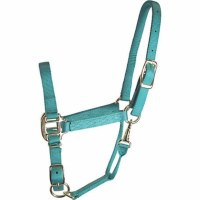 DuMOR Nylon Premium Colt Halter with Snap