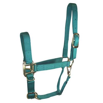 Details about   VINTAGE EQUISTRIAN STYLE HORSE STABLES SUPPLY STORE SADDLES HARNESS CANVAS SIGN 