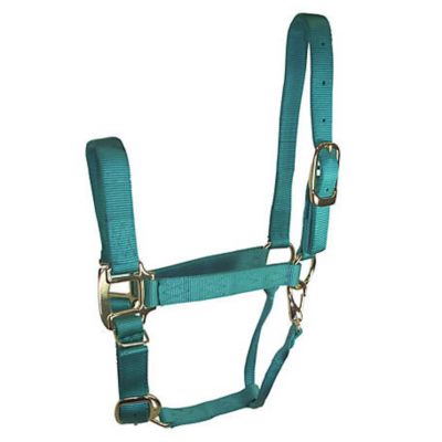 DuMOR Nylon Premium Horse Halter