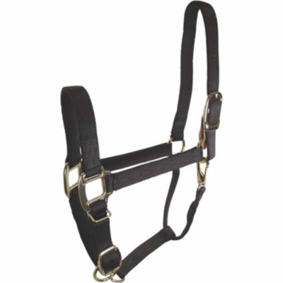 DuMOR Nylon Screw-Style Breakaway Horse Halter