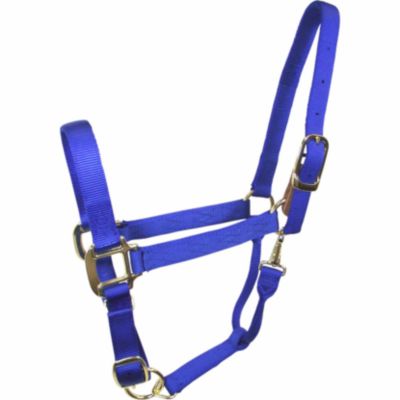 DuMOR Nylon Screw-Style Breakaway Horse Halter