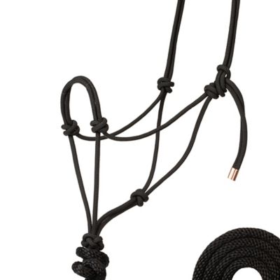Image showing  Braided Rope Horse Halter with 7 ft. Poly Lead, Medium