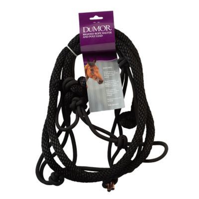 Image showing  Braided Rope Horse Halter with 7 ft. Poly Lead, Medium