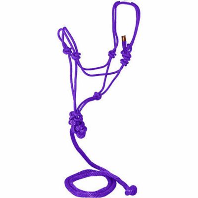 DuMOR Braided Rope Halter with 7 ft. Poly Lead, Medium