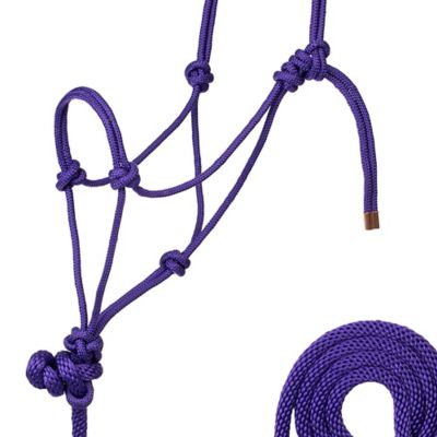 Image showing  Braided Rope Horse Halter with 7 ft. Poly Lead, Medium