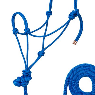 Image showing  Braided Rope Horse Halter with 7 ft. Poly Lead, Medium