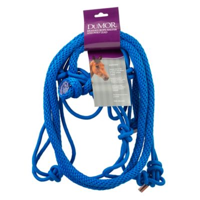 Image showing  Braided Rope Horse Halter with 7 ft. Poly Lead, Medium