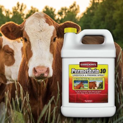 Image showing  Permethrin 10 Livestock and Premise Insecticide Spray, 1 gal.