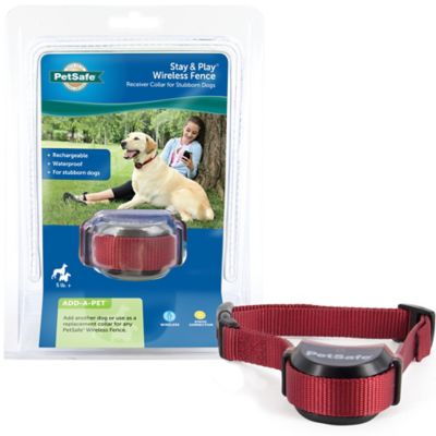 PetSafe Stubborn Dog Stay & Play Wireless Fence Receiver Collar I have had the same wireless system for 8 years with no problems and the collars work great also